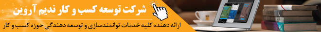 شرکت توسعه کسب و کار ندیم آروین