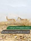 حمایت مستمر شرکت فولاد غدیر نی&zwnj;ریز از زیست&zwnj;بوم گور ایرانی با ارسال ششمین محموله علوفه